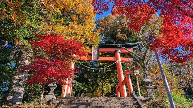 Tokyo: Mount Fuji 5th Station & Onsen Day Trip - Price and Value: What $50 Really Buys You