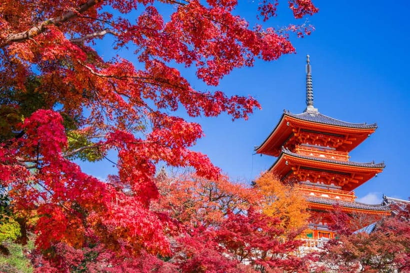Tokyo: Mount Fuji and Hakone Full Day Tour with Ramen Making - Who This Tour Suits (and Who Might Skip It)
