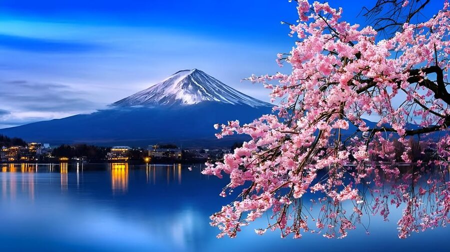 Tokyo: Mount Fuji and Hakone private sightseeing tour - The Fuji-leaning route: chasing views and tradition