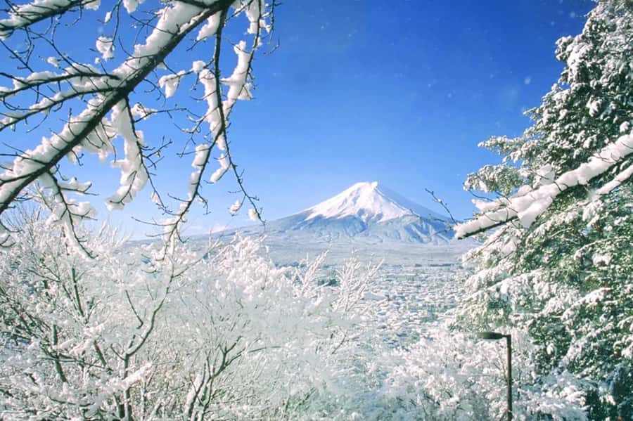 Tokyo: Mount Fuji Day Trip with Scenic & Local Stops - Key highlights that matter