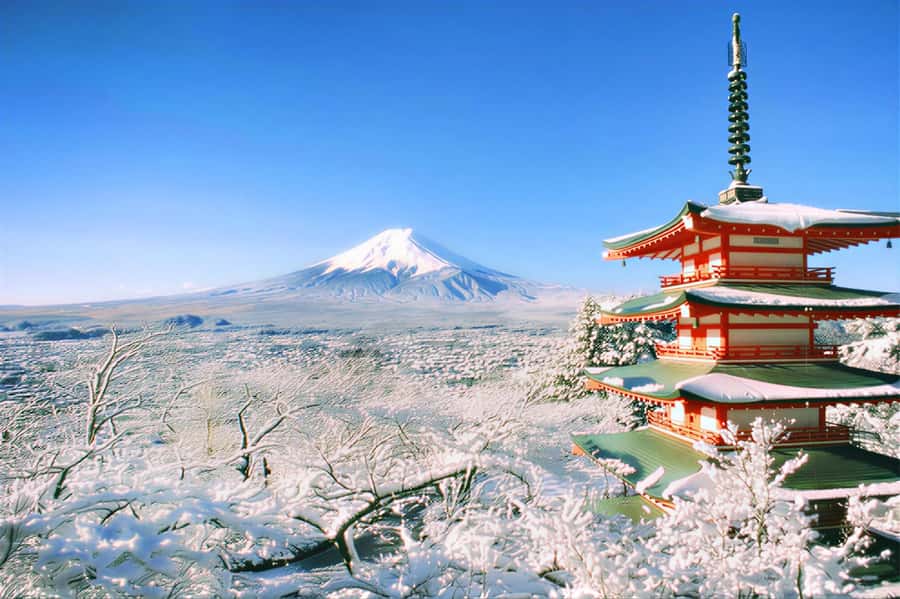Tokyo: Mount Fuji Day Trip with Scenic & Local Stops - Hikawa Clock Shop: The Retro Facade Photo Everyone Wants