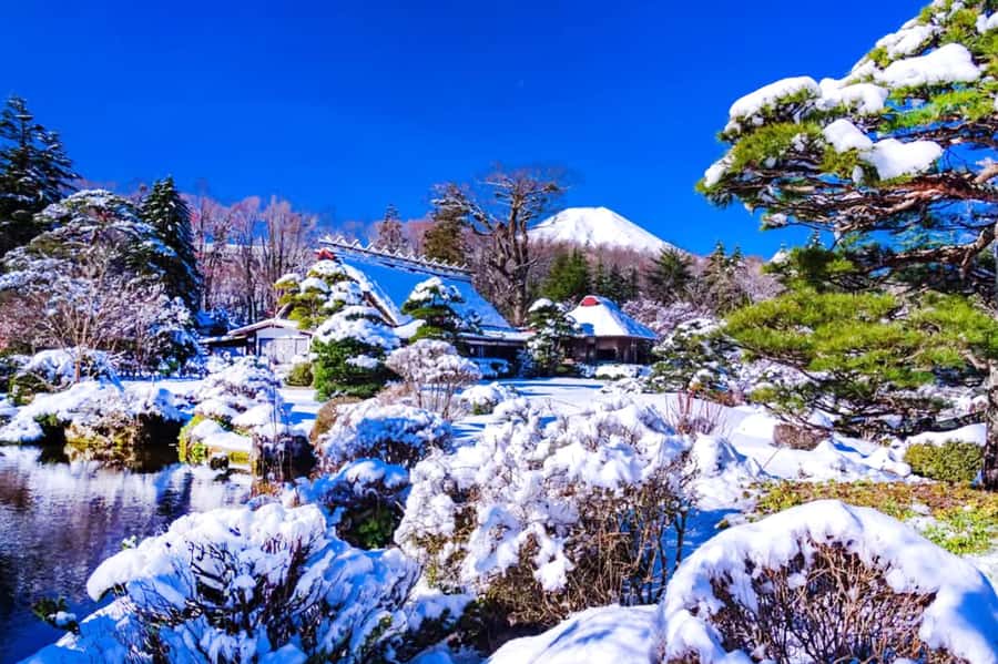 Tokyo: Mount Fuji Day Trip with Scenic & Local Stops - Oshino Hakkai: UNESCO Springs and Koi-Filled Ponds