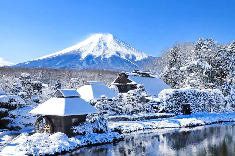 Tokyo: Mount Fuji Day Trip with Scenic & Local Stops - Fuji Lawson Store: Snack Tips and a Quick Photo Win
