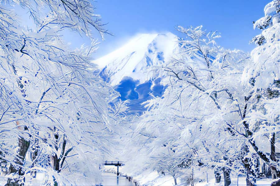 Tokyo: Mount Fuji Day Trip with Scenic & Local Stops - The Real Schedule: Fast Day, Flexible Stops, and Long Transit Time