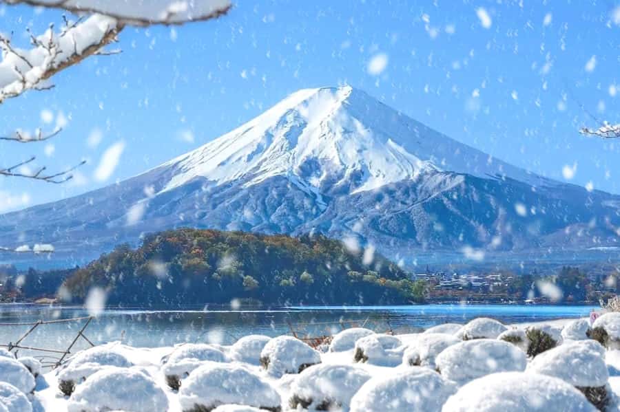Tokyo: Mount Fuji Day Trip with Scenic & Local Stops - Guides, Small Groups, and How You Actually Benefit