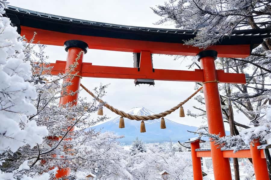 Tokyo: Mount Fuji Day Trip with Scenic & Local Stops - Niikurayama Asama Park: Where You’ll Want That Telephoto