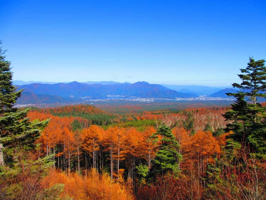 Tokyo: Mount Fuji, Gotemba & Hakone Day Trip by Luxury Bus - Fuji winter twist: sledding plans and how rain can reroute things