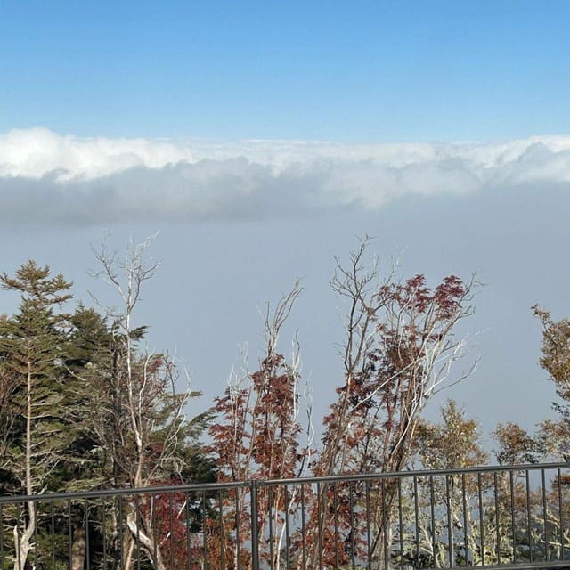 Tokyo: Mount Fuji & Hakone Private Car Day Tour Lowest Price - Who This Private Fuji and Hakone Day Is Best For