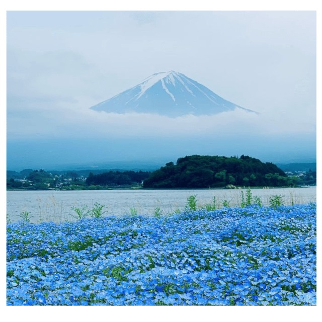 Tokyo: Mount Fuji & Hakone Private Car Day Tour Lowest Price - Oshino Hakkai to Ropeway Time: Water Springs, Steam, and Scenic Walks
