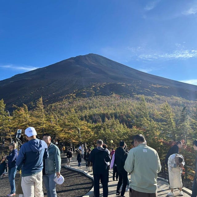 Tokyo: Mount Fuji & Hakone Private Car Day Tour Lowest Price - Hakone Essentials: Owakudani Sulfur, Lake Ashi Cruise, and Hakone Shrine