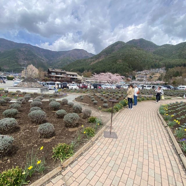 Tokyo: Mount Fuji & Hakone Private Car Day Tour Lowest Price - Pickup, Timing, and the Real Feeling of a 10-Hour Day
