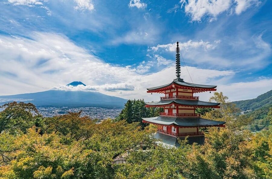 Tokyo: Mount Fuji & Hakone Private Customized Full Day Tour - Arakurayama Sengen Park: A Second View Moment