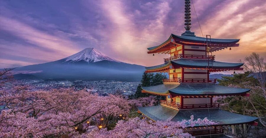 Tokyo: Mount Fuji & Hakone Private Tour with Guide - Two shrine stops: Kitaguchi-hongu and the red-torii calm