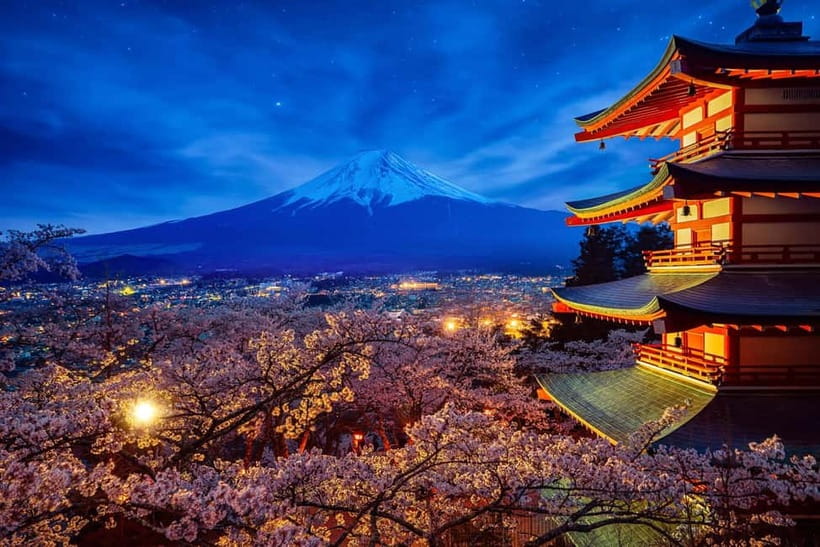 Tokyo: Mount Fuji & Hakone Private Tour with Guide - Food and lunch: plan for separate spending, not a full meal included