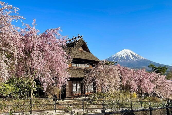 Tokyo: Mount Fuji Must-see Attractions One Day Sightseeing Tour - Stop 5: Arakurayama Sengen Park for the Chureito Pagoda postcard angle