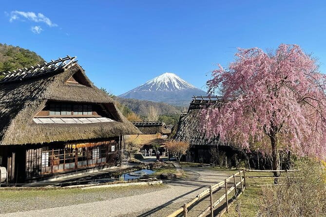 Tokyo: Mount Fuji Must-see Attractions One Day Sightseeing Tour - Your day on the road: how this schedule feels in practice