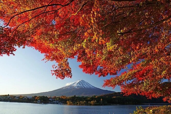 Tokyo: Mount Fuji One Day Trip Lake Kawaguchi & Lake Yamanaka - Quick things to know before you go