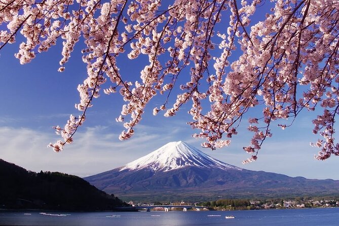 Tokyo: Mount Fuji One Day Trip Lake Kawaguchi & Lake Yamanaka - Entering the Mount Fuji zone from Tokyo, the efficient way