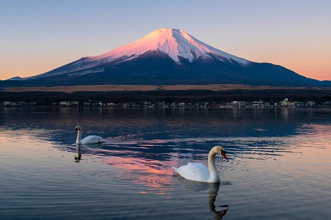 Tokyo: Mount Fuji One Day Trip Lake Kawaguchi & Lake Yamanaka - Oishi Park: flowers, lake views, and another Mt. Fuji angle
