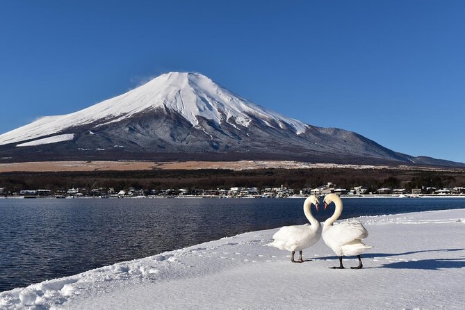 Tokyo: Mount Fuji One Day Trip Lake Kawaguchi & Lake Yamanaka - Lake Yamanaka: a bigger lake with a quieter feel