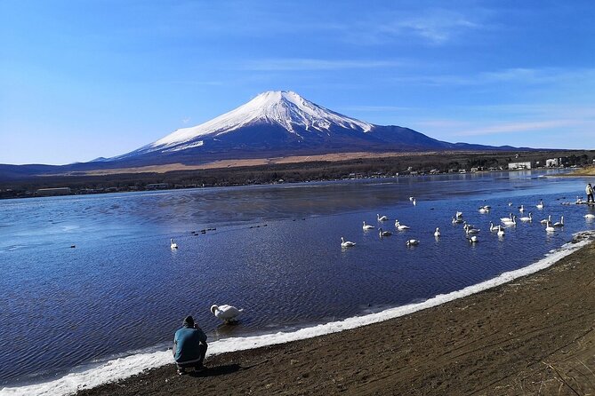 Tokyo: Mount Fuji One Day Trip Lake Kawaguchi & Lake Yamanaka - Lawson Fujikawaguchiko Town hall: a funny culture stop for snacks and photos