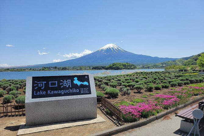 Tokyo: Mount Fuji One Day Trip Lake Kawaguchi & Lake Yamanaka - Arakurayama Sengen Park: Chureito Pagoda and the shrine connection