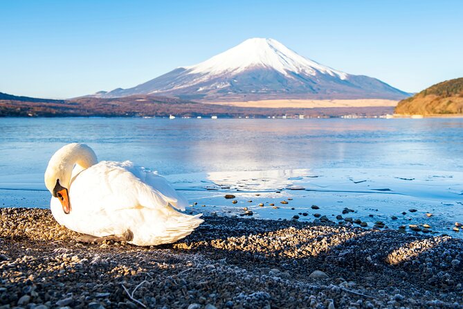 Tokyo: Mount Fuji One Day Trip Lake Kawaguchi & Lake Yamanaka - The 8:00 am start and the reality of group bus travel