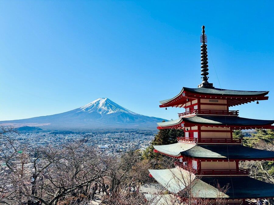 Tokyo: Mount Fuji Private Customized English Guided Tour - Price and logistics: why $428 per group can be a fair deal