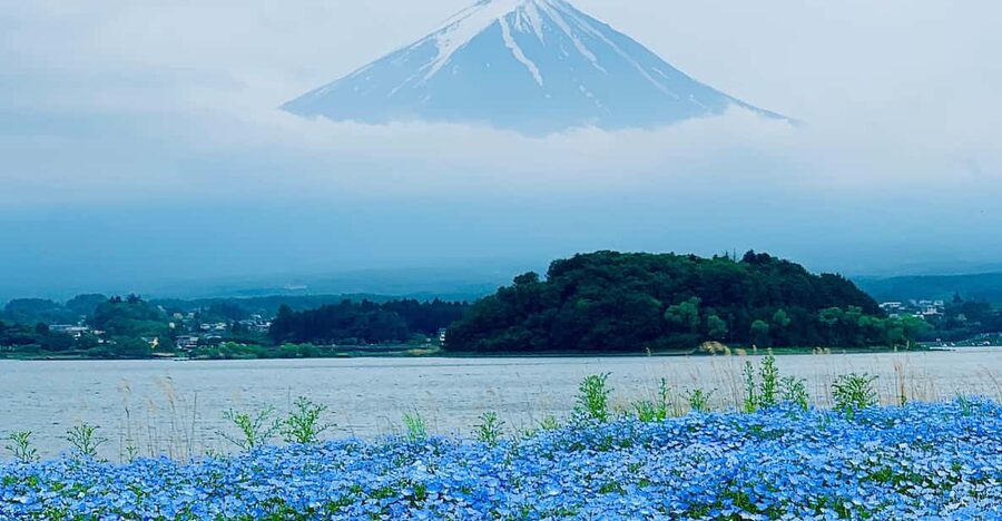 Tokyo: Mount Fuji Private Customized English Guided Tour - Narusawa Ice Cave: the stop that feels like a surprise bonus
