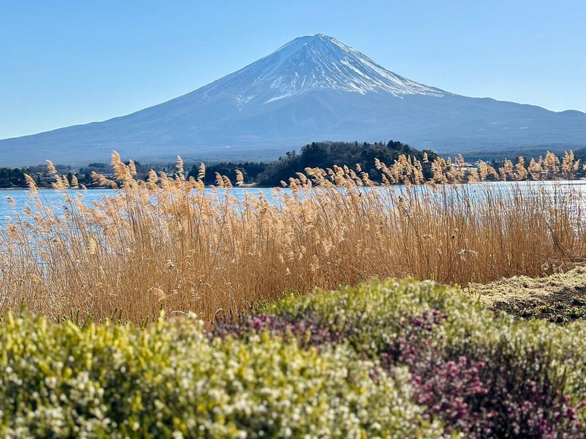 Tokyo: Mount Fuji Private Customized English Guided Tour - Kitaguchi-hongu Fuji Sengen Shrine: ending with tradition