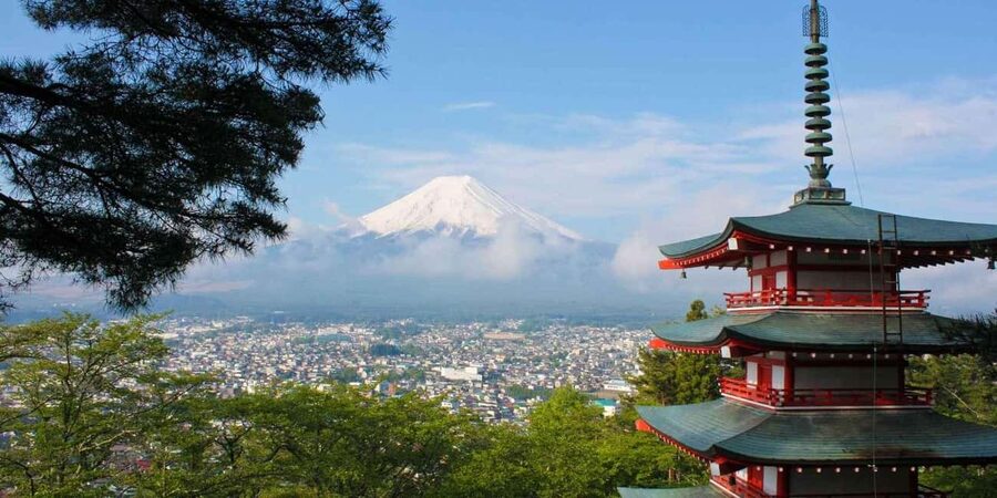 Tokyo: Mount Fuji Private Tour with Scenic Lunch Experience - Mt. Fuji 5th Station: The “High Up” Photo Stop