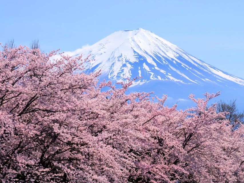 Tokyo: Mt. Fuji 5th Station & Hakone Cruise 1-Day Bus Tour - Leaving Tokyo: Shinjuku pickup and the coach reality