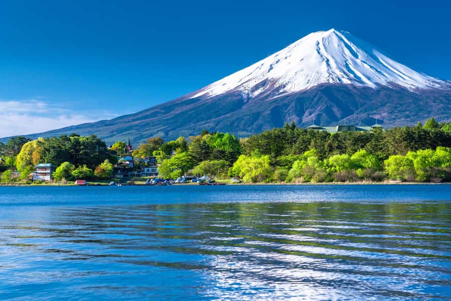 Tokyo: Mt. Fuji 5th Station, Kawaguchiko Tour w/ Cable Car - Price and value: how $74 makes sense (and when it doesn’t)
