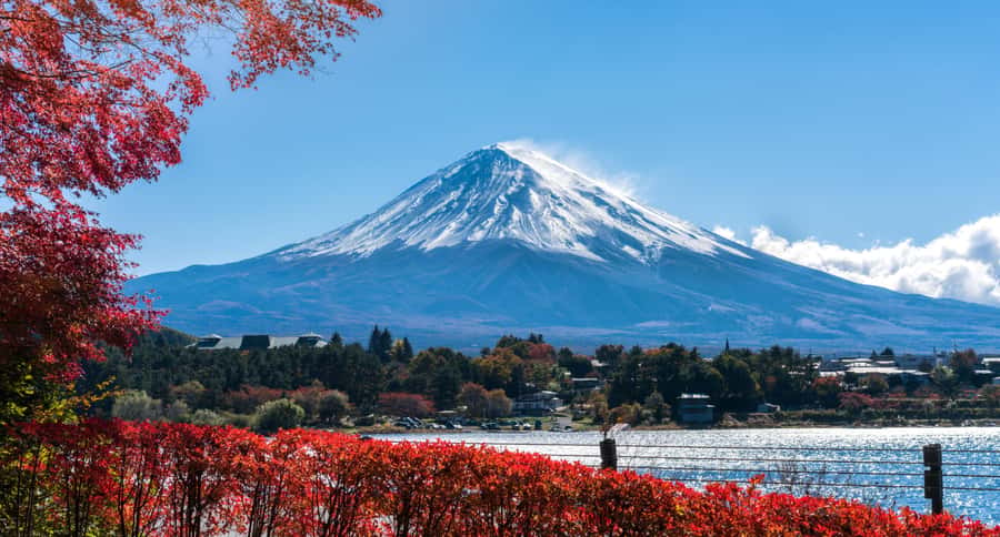 Tokyo: Mt. Fuji 5th Station, Kawaguchiko Tour w/ Cable Car - Guides and group feel: you’ll notice the human touch