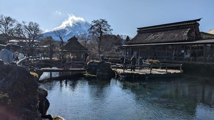 Tokyo: Mt. Fuji and Hakone Tour with Cable Car and Cruise - A Long Day That Still Feels Like a Real Sightseeing Plan