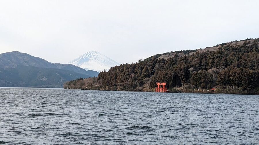 Tokyo: Mt. Fuji and Hakone Tour with Cable Car and Cruise - Back to Tokyo: Tokyo Station by Bus, or a Better Drop-Off Plan
