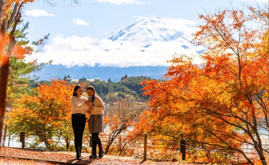 Tokyo: Mt. Fuji and Hakone tour with English Speaking Driver - Key highlights at a glance