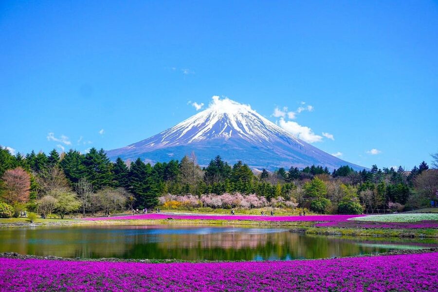 Tokyo: Mt. Fuji and Hakone tour with English Speaking Driver - Timing, weather, and what to pack for a 10-hour day