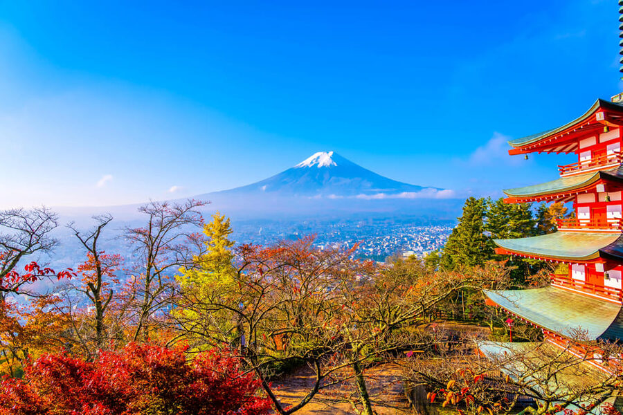 Tokyo: Mt. Fuji and Hakone tour with English Speaking Driver - Oshino Hakkai: eight ponds, springs, and thatched-roof calm
