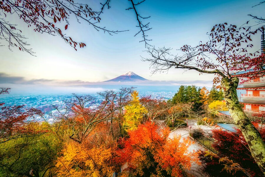 Tokyo: Mt. Fuji and Hakone tour with English Speaking Driver - English-speaking driver power: help you actually feel