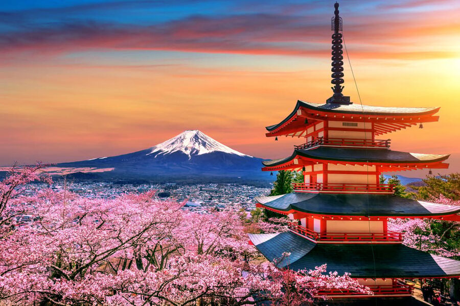 Tokyo: Mt. Fuji and Hakone tour with English Speaking Driver - Mt. Fuji 5th Station: your best chance at a real peak