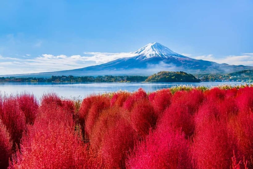 Tokyo: Mt. Fuji, Arakurayama Sengen Park, Oshino Hakkai Tour - Arakurayama Sengen Park: Where the Pagoda and Fuji Line Up