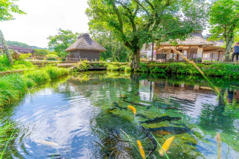 Tokyo: Mt. Fuji, Arakurayama Sengen Park, Oshino Hakkai Tour - Oishi Park’s Short Photo Stop (Weekdays Only)