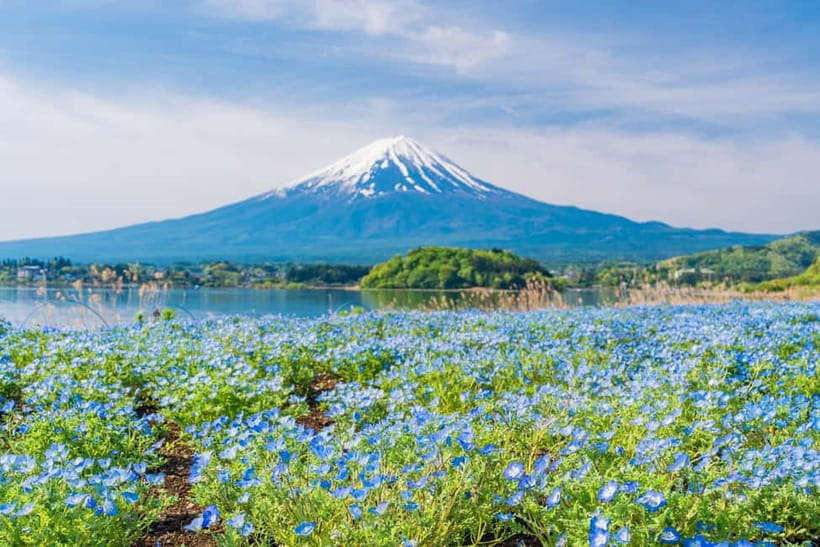 Tokyo: Mt. Fuji, Arakurayama Sengen Park, Oshino Hakkai Tour - Saiko Iyashi-no-Sato Nenba: Thatched-Roof Calm and Warmth