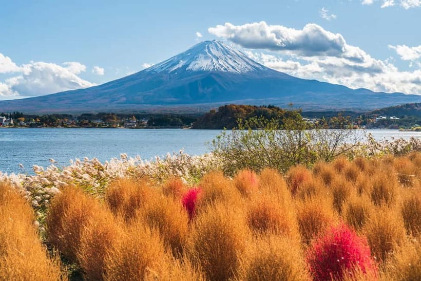 Tokyo: Mt. Fuji, Arakurayama Sengen Park, Oshino Hakkai Tour - Should You Book This Tokyo to Mt Fuji Tour?