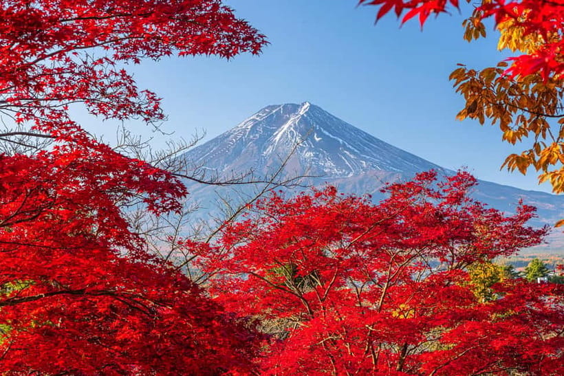 Tokyo: Mt. Fuji, Arakurayama Sengen Park, Oshino Hakkai Tour - The Fujiyoshida Pair: Honcho Street and Hikawa Clock Shop