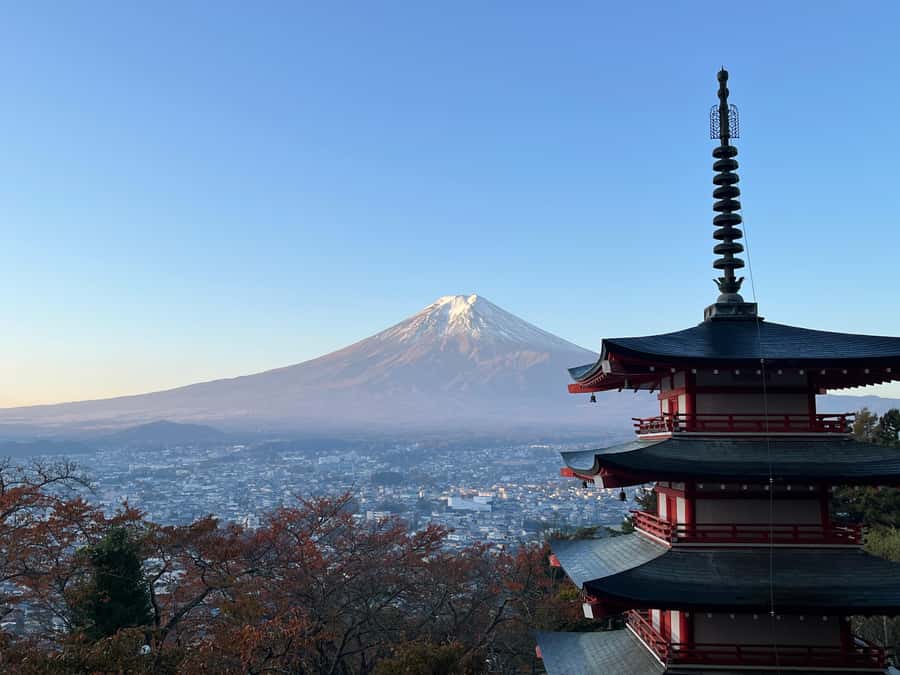 Tokyo: Mt Fuji Area Guided Tour with Traditional Lunch - Key Points You’ll Actually Care About