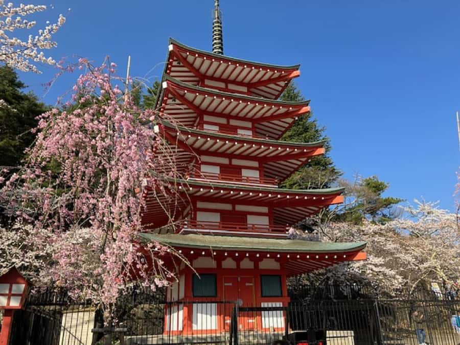 Tokyo: Mt Fuji Area Guided Tour with Traditional Lunch - Traditional Lunch at Hotel Regina Kawaguchiko: Comfort Food With Japan’s Flavor