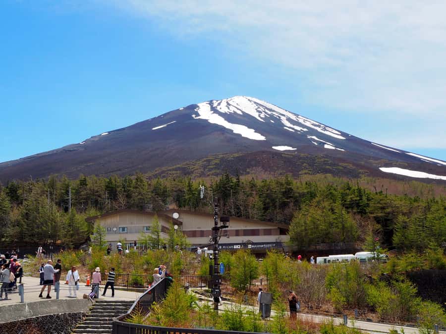 Tokyo: Mt Fuji Area Guided Tour with Traditional Lunch - Oishi Park Photo Stop at Lake Kawaguchi: Chasing Clear Fuji Without Losing the Day
