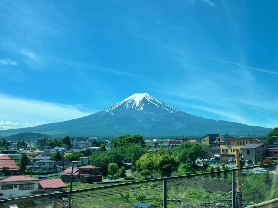Tokyo: Mt Fuji Area Guided Tour with Traditional Lunch - How the English-Speaking Guide Changes Everything (Makoto, Yumi, Kiki, and More)